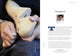 Book cover of: Intelligent Hands. By: Charlotte Abrahams