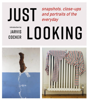 JUST LOOKING, snapshots, close-ups and portraits of the everyday