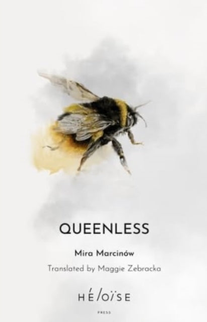 Book cover of: QUEENLESS