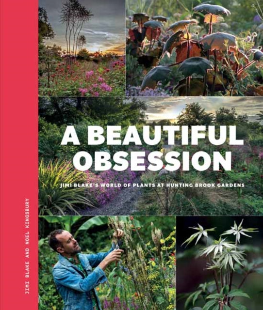 Book cover of: Beautiful Obsession. By: Jimi Blake