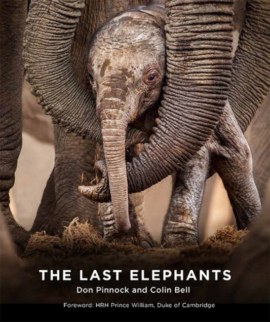 Book cover of: Last Elephants. By: Colin Bell