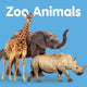 Book cover of: Zoo Animals. By: New Holland Publishers