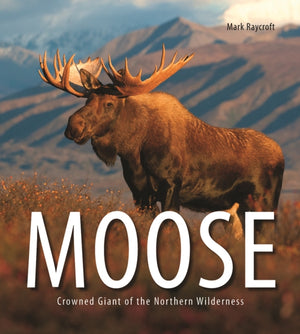 Moose