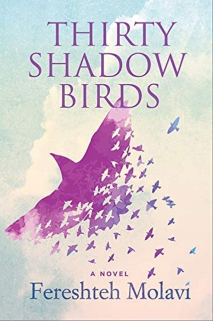 Book cover of: Thirty Shadow Birds. By: Fereshteh Molavi