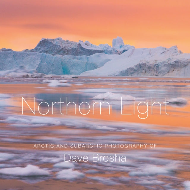 Book cover of: Northern Light
