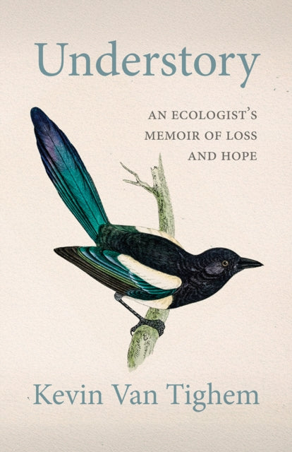 Book cover of: Understory
