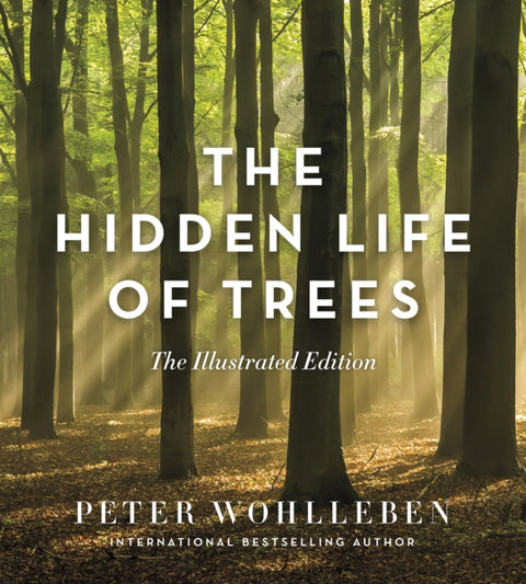 Hidden Life of Trees
