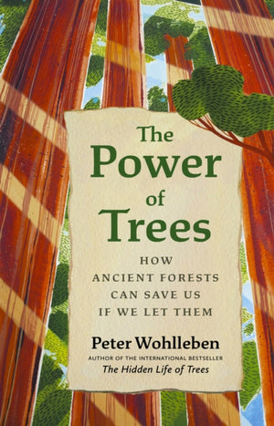 Power of Trees