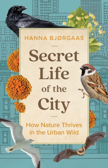Book cover of: Secret Life of the City. By: Hanna Hagen Bjørgaas