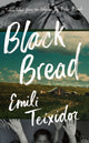 Book cover of: Black Bread. By: Emili Teixidor