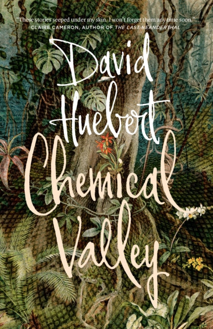 Book cover of: Chemical Valley. By: David Huebert
