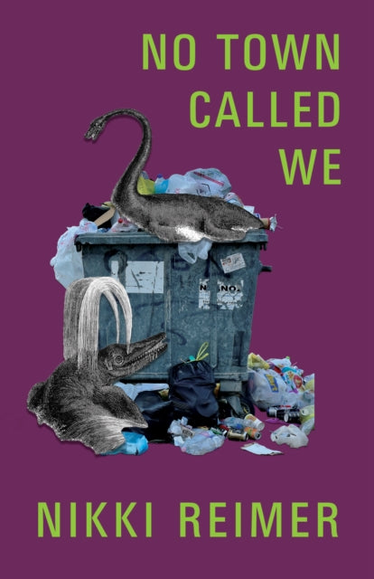 Book cover of: No Town Called We. By: Nikki Nikki Reimer