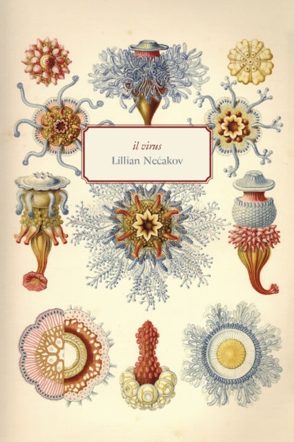 Book cover of: il virus. By: Lillian Necakov