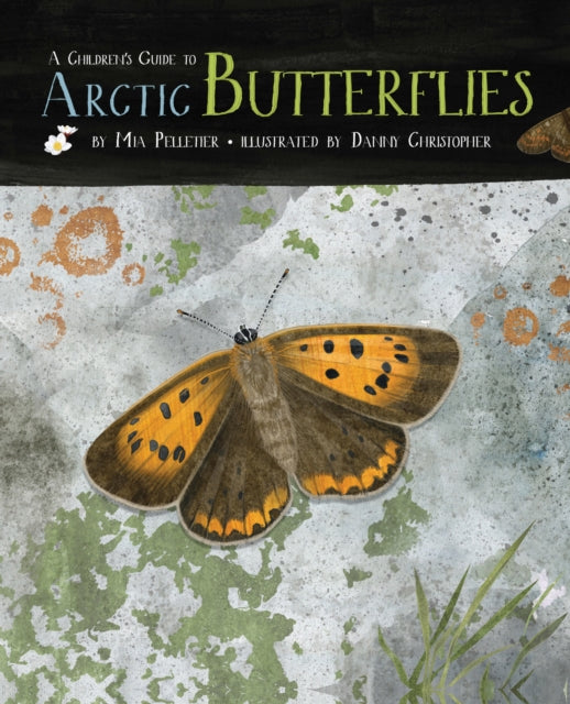 Book cover of: Children's Guide to Arctic Butterflies. By: Danny Christopher