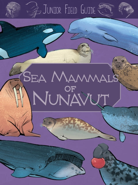 Book cover of: Junior Field Guide: Sea Mammals of Nunavut. By: Jordan Hoffman