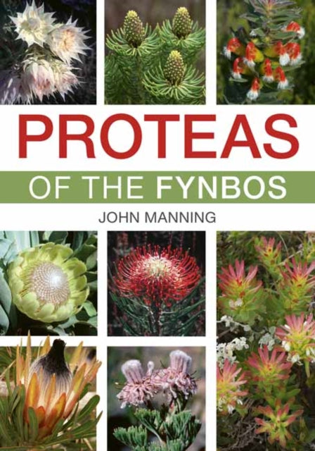 Book cover of: Proteas of the Fynbos