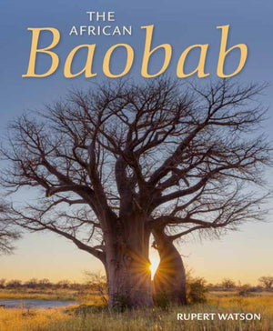 African Baobab