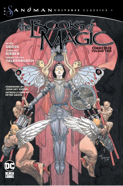 Book cover of: Books of Magic Omnibus Vol. 2. By: Peter Gross