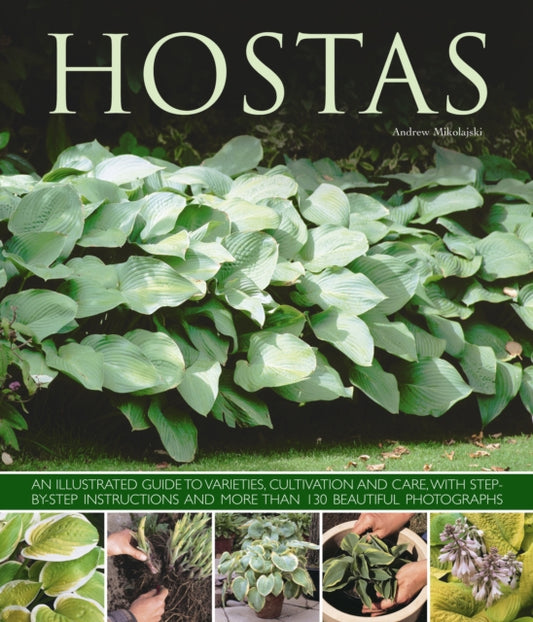 Book cover of: Hostas. By: Andrew Mikolajski