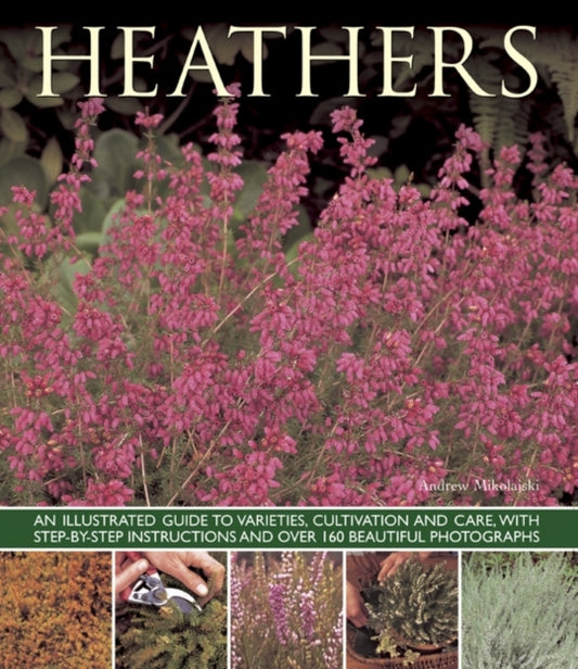 Book cover of: Heathers. By: Andrew Mikolajski
