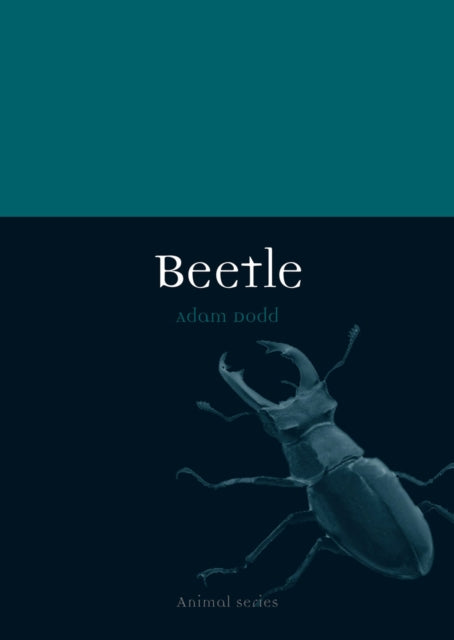 Book cover of: Beetle. By: Adam Dodd