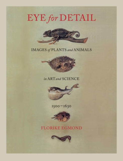 Book cover of: Eye for Detail. By: Florike Egmond