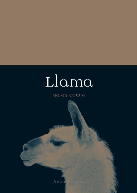 Book cover of: Llama. By: Helen Cowie