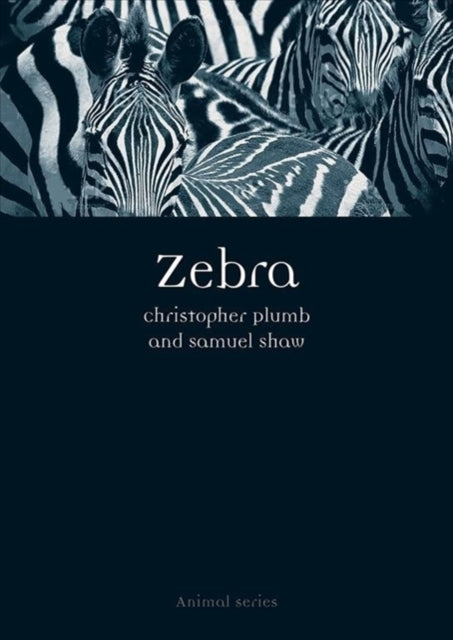 Book cover of: Zebra. By: Christopher Plumb