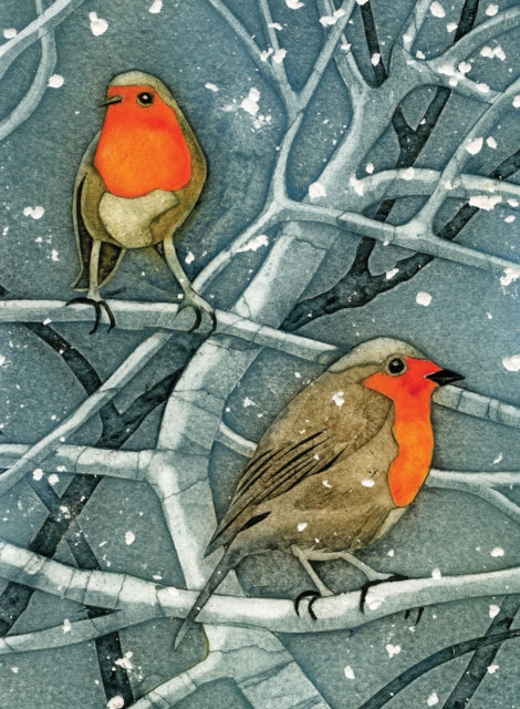 Book cover of: Wild Birds Pocket Notebook: Robin
