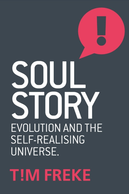 Book cover of: Soul Story. By: Timothy Freke