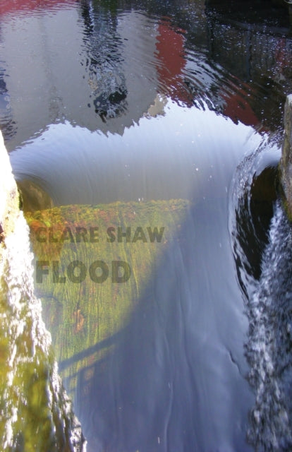 Book cover of: Flood. By: Clare Shaw