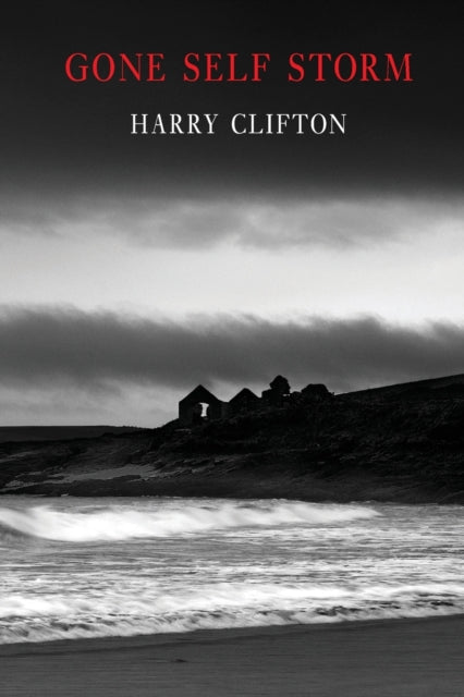 Book cover of: Gone Self Storm. By: Harry Clifton