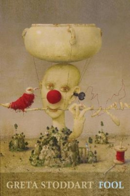 Book cover of: Fool. By: Greta Stoddart