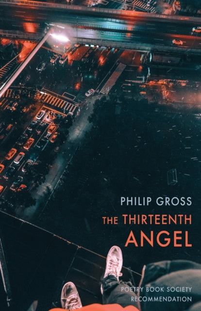 Book cover of: Thirteenth Angel. By: Philip Gross