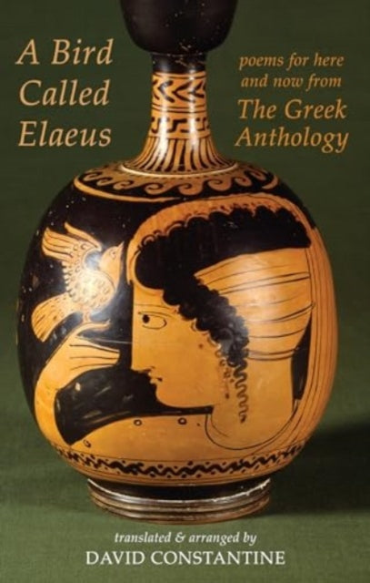 Book cover of: Bird Called Elaeus. By: David J. Constantine