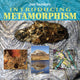 Book cover of: Introducing Metamorphism. By: Ian Sanders
