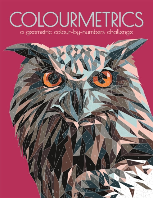 Colourmetrics, A Geometric Colour by Numbers Challenge 9781780557489 Max Jackson