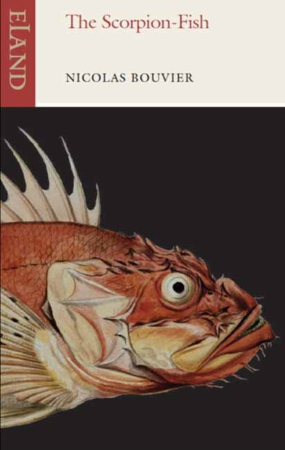 Book cover of: Scorpion-Fish. By: Nicolas Bouvier