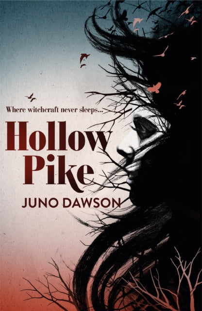 Book cover of: Hollow Pike. By: James Dawson