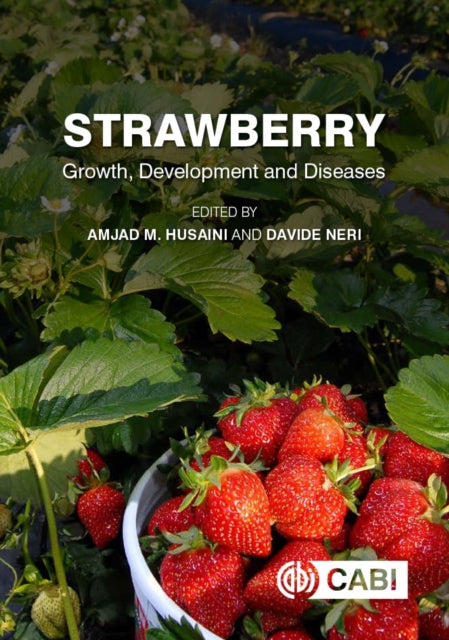 Book cover of: Strawberry. By: Amjad M. Husaini