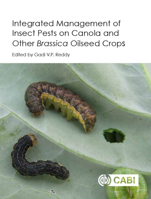 Book cover of: Integrated management of Insect Pests on Canola and other Brassica Oilseed Crops. By: Gadi V. P. Reddy
