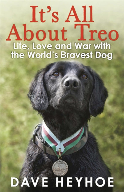 Book cover of: It's All About Treo
