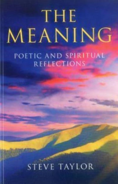 Book cover of: Meaning, The – Poetic and spiritual reflections. By: Taylor, Steve