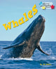 Book cover of: Whales. By: Jill Atkins