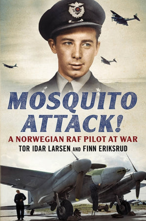 Mosquito Attack!