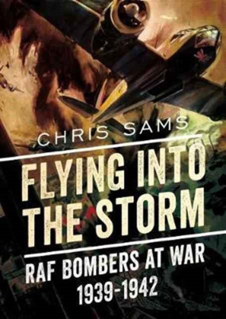 Book cover of: Flying into the Storm. By: Chris Sams