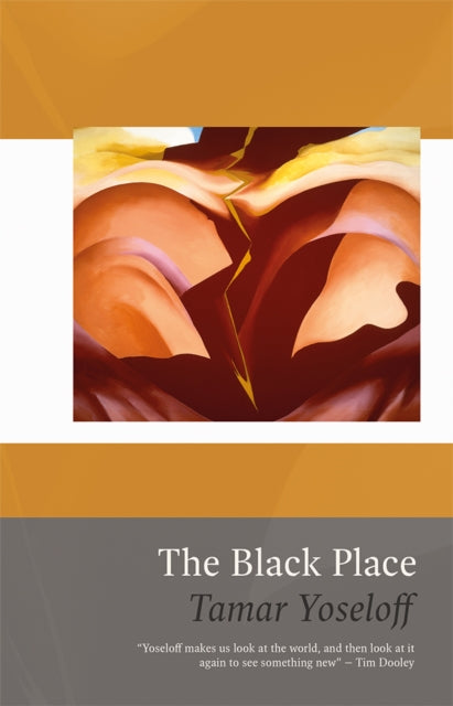 Book cover of: Black Place. By: Tamar Yoseloff