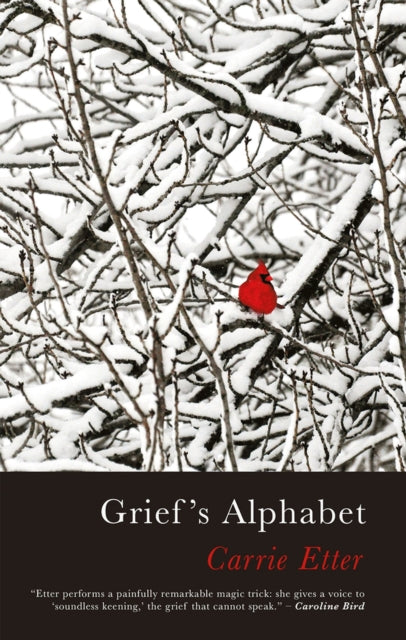 Book cover of: Grief’s Alphabet. By: Carrie Etter