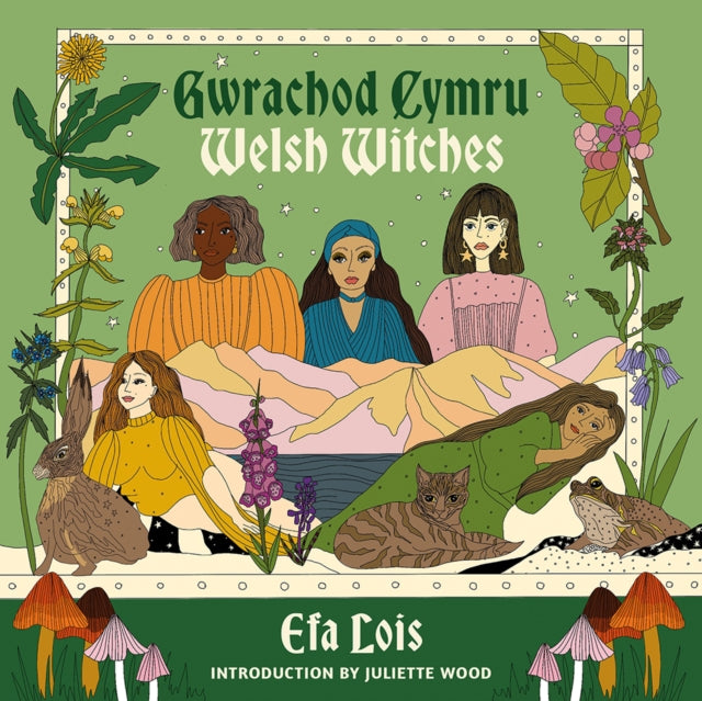 Book cover of: Gwrachod Cymru | Welsh Witches