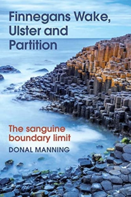 Book cover of: Finnegans Wake, Ulster and Partition. By: Donal Manning